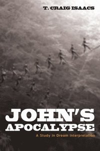 bokomslag John's Apocalypse