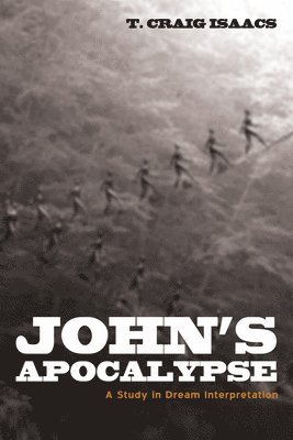 bokomslag John's Apocalypse