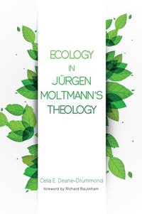 bokomslag Ecology in Jurgen Moltmann's Theology