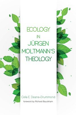 Ecology in Jurgen Moltmann's Theology 1