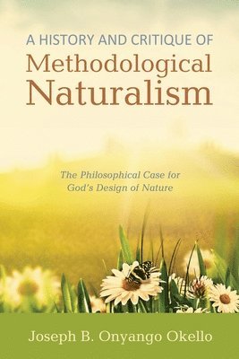 bokomslag History and Critique of Methodological Naturalism