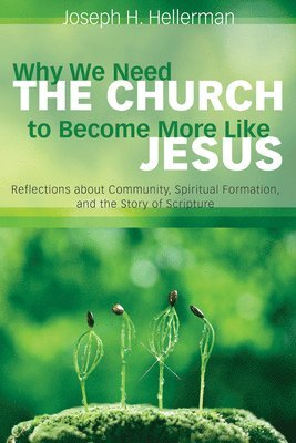 bokomslag Why We Need the Church to Become More Like Jesus: Reflections about Community, Spiritual Formation, and the Story of Scripture