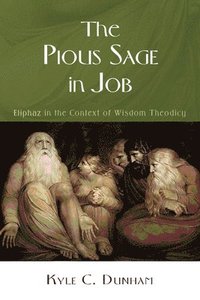 bokomslag The Pious Sage in Job