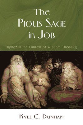 bokomslag Pious Sage in Job