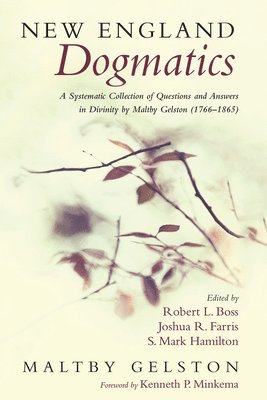 bokomslag New England Dogmatics