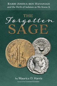 bokomslag Forgotten Sage