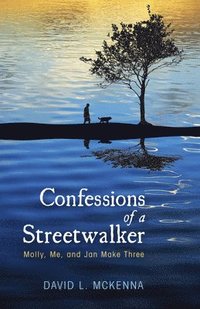 bokomslag Confessions of a Streetwalker