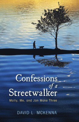 David L McKenna - Confessions of a Streetwalker, Häftad