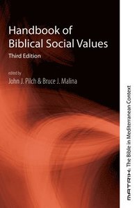 bokomslag Handbook of Biblical Social Values