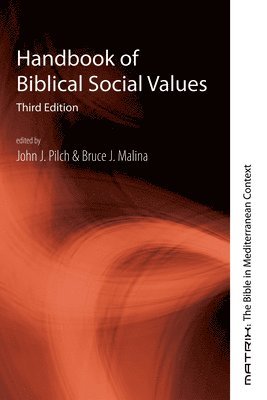 bokomslag Handbook of Biblical Social Values