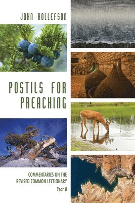 bokomslag Postils for Preaching