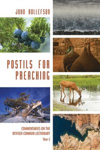 bokomslag Postils for Preaching
