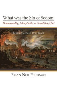 bokomslag What Was the Sin of Sodom: Homosexuality, Inhospitality, or Something Else?