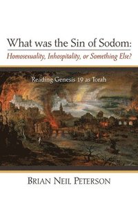 bokomslag What was the Sin of Sodom