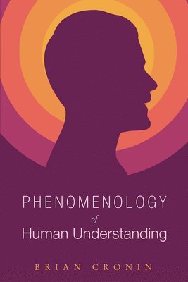 Phenomenology of Human Understanding 1