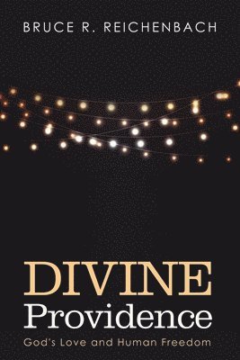 Bruce R Reichenbach, Bruce R. Reichenbach - Divine Providence, Häftad