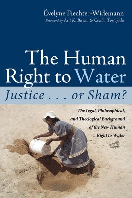 bokomslag The Human Right to Water