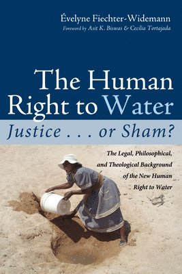 bokomslag The Human Right to Water: Justice . . . or Sham?