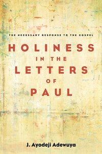 bokomslag Holiness in the Letters of Paul