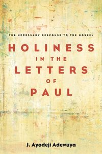 bokomslag Holiness in the Letters of Paul