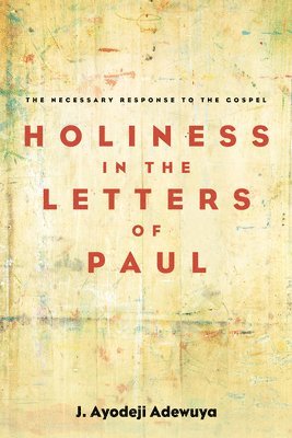 J Ayodeji Adewuya, J. Ayodeji Adewuya - Holiness in the Letters of Paul, Häftad