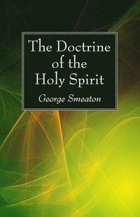 bokomslag The Doctrine of the Holy Spirit