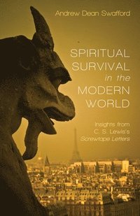 bokomslag Spiritual Survival in the Modern World