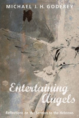 Entertaining Angels 1