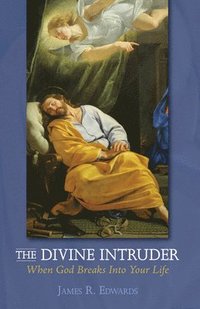 bokomslag The Divine Intruder