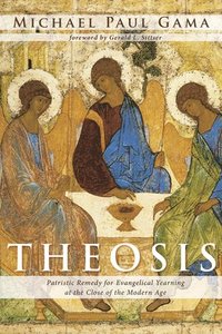 bokomslag Theosis