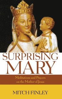 bokomslag Surprising Mary