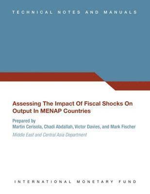 Assessing the impact of fiscal shocks on output In MENAP countries 1