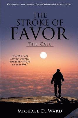 bokomslag Stroke of Favor