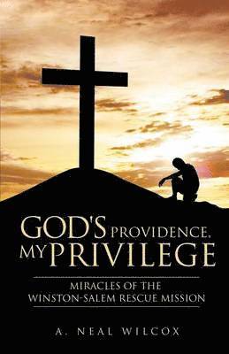 bokomslag God's Providence, My Privilege