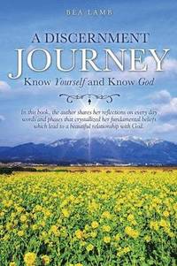 bokomslag Discernment Journey