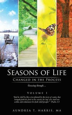 bokomslag Seasons of Life