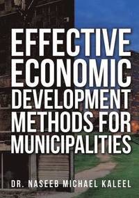 bokomslag Effective Economic Development Methods for Municipalities