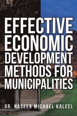 bokomslag Effective Economic Development Methods for Municipalities