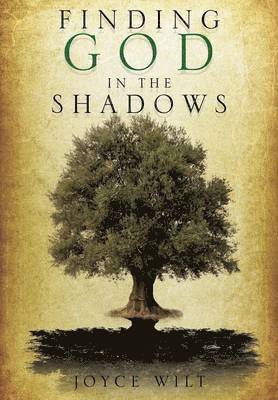 Joyce Wilt - Finding God in the Shadows, Häftad