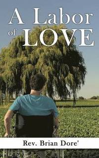 bokomslag Labor of Love