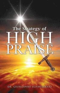 bokomslag Strategy of HIGH PRAISE