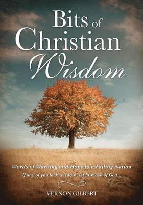 Bits of Christian Wisdom 1