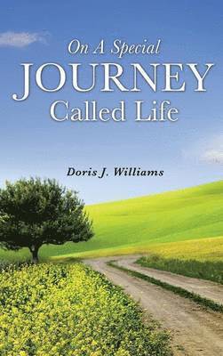 bokomslag On a Special Journey Called Life
