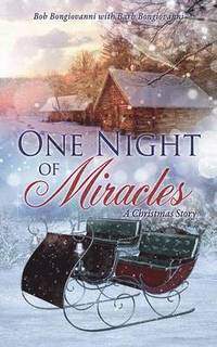bokomslag One Night of Miracles