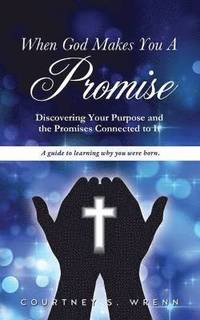 bokomslag When God Makes You A Promise