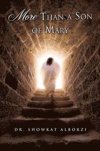 bokomslag More Than a Son of Mary