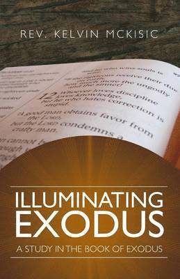 bokomslag Illuminating Exodus