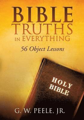 bokomslag Bible Truths In Everything