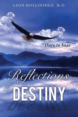 bokomslag Reflections of Destiny