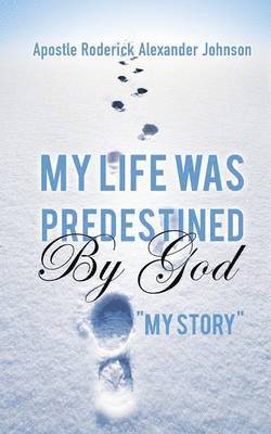 bokomslag My Life Was Predestined By God